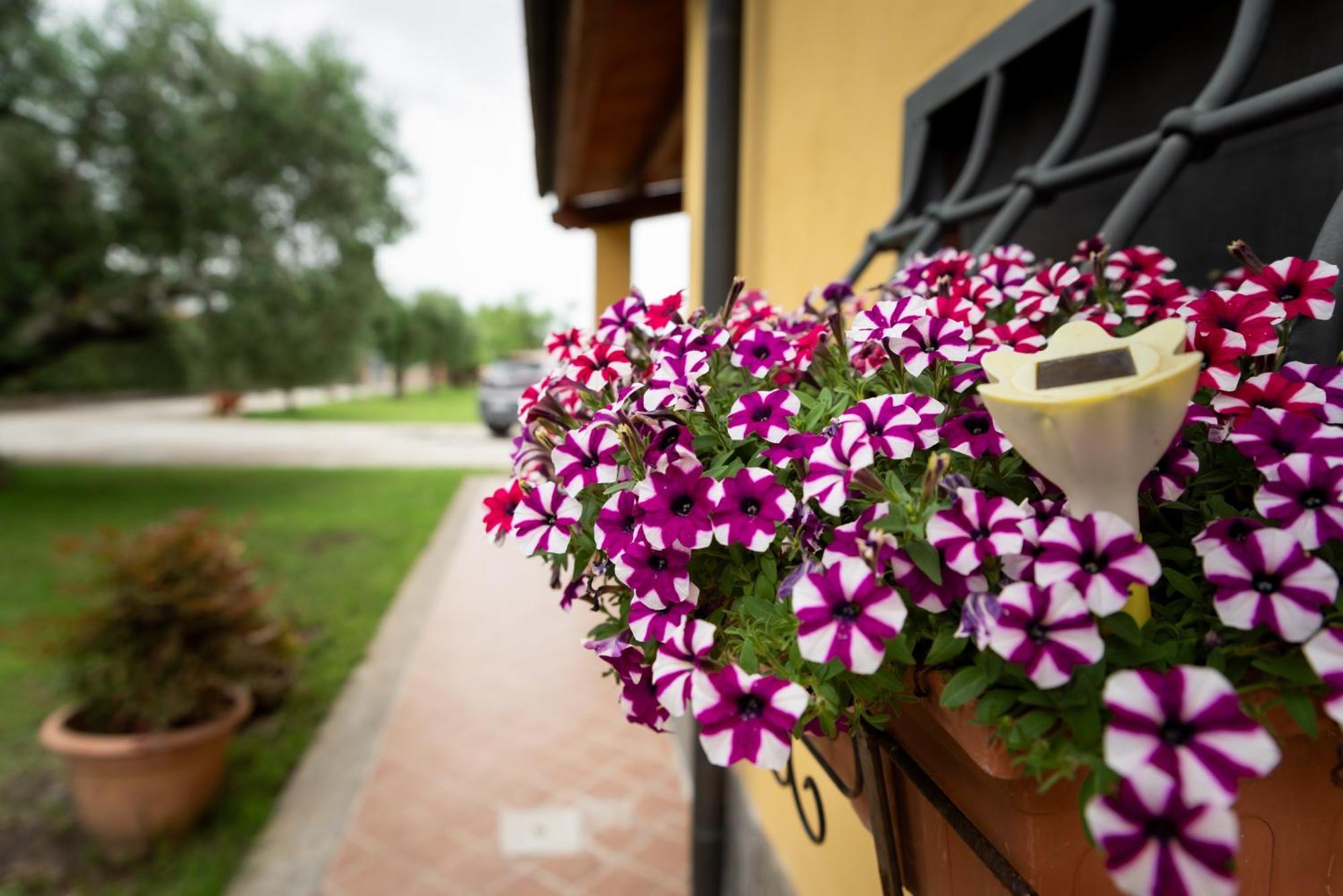 L'Antico Vigneto Hotell Marino Exteriör bild