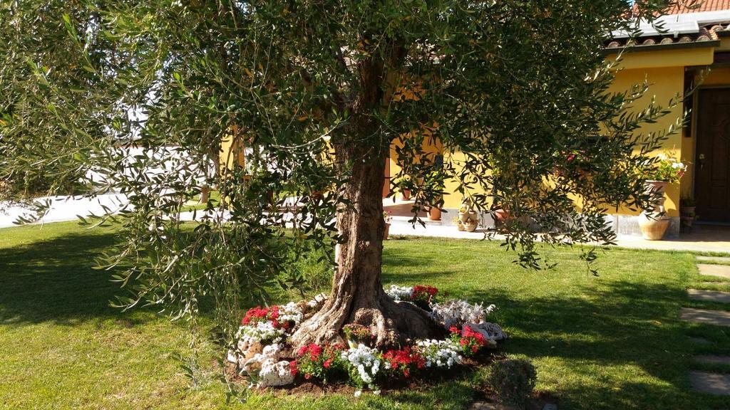 L'Antico Vigneto Hotell Marino Exteriör bild